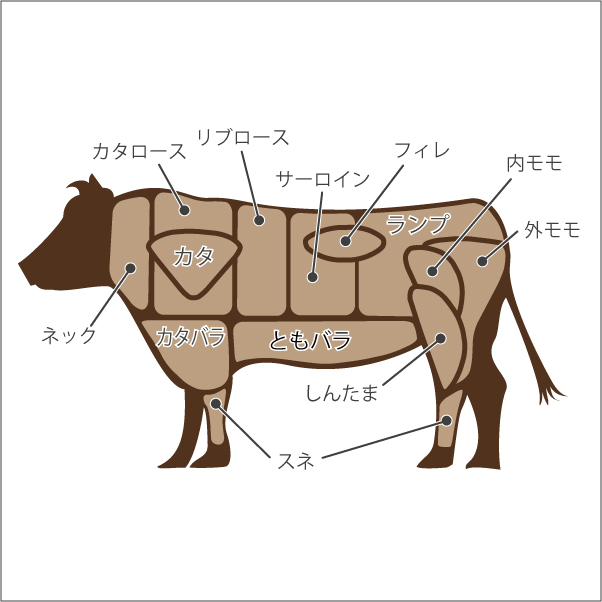 牛肉の部位